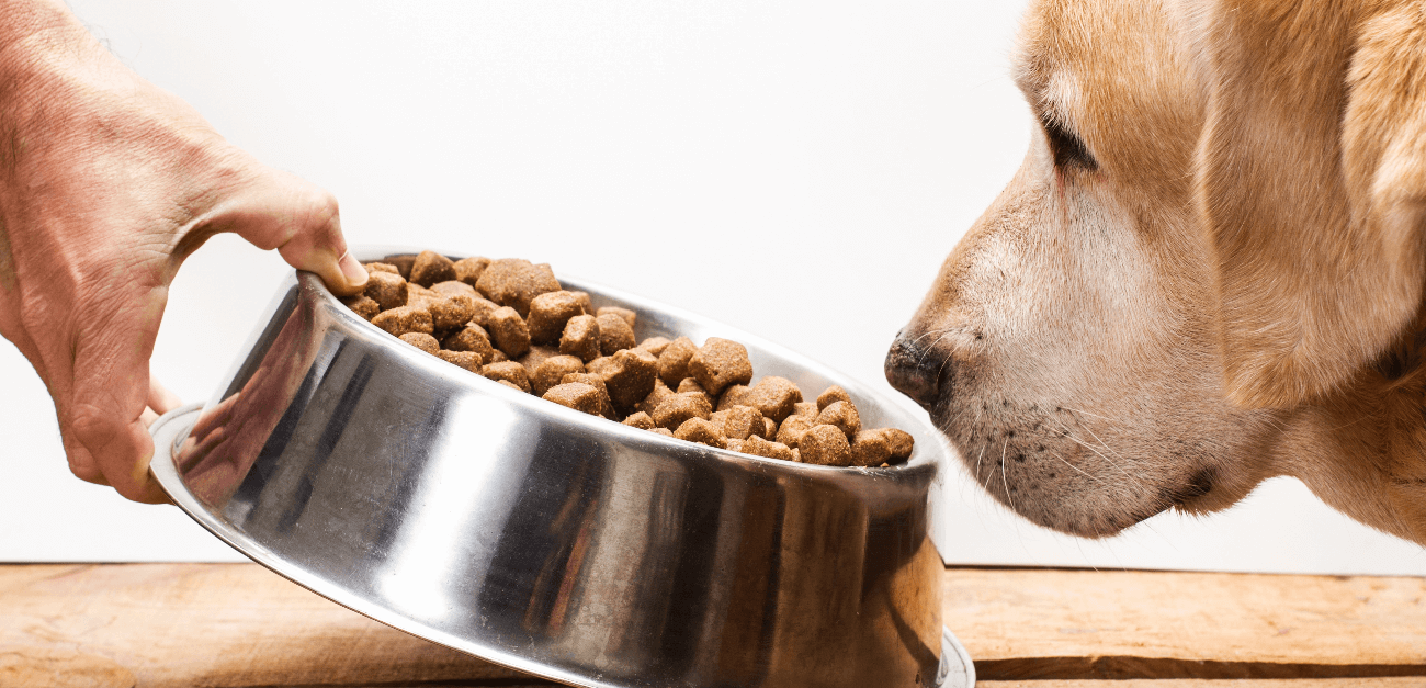 What's Really in Pet Supplements? Some Ingredients May Surprise Pet Owners